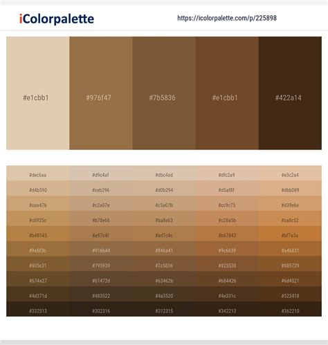 View 21 Brown Aesthetic Color Palette Hex - aboutbasestock