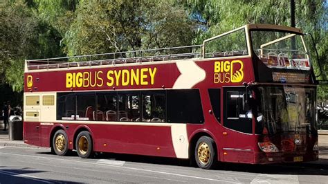 Sydney - City and Suburbs: George Street, Big Bus Sydney