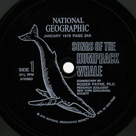 Humpback Whale - Songs Of The Humpback Whale (1979, Flexi-disc) | Discogs