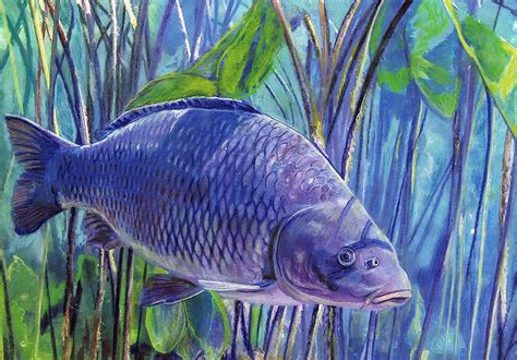 Carp Fishing Art, Pastel & Watercolour Fish Painting Wall Art Print, Hand Signed Fishing Gift By ...