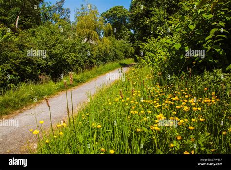 Swansea Canal, Pontardawe, Wales Stock Photo - Alamy