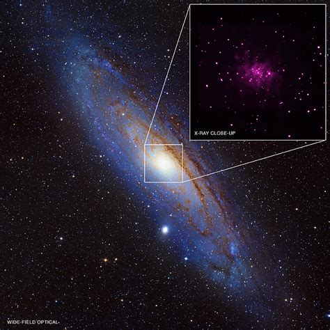 Trove of Black Holes Discovered in Andromeda Galaxy | Space