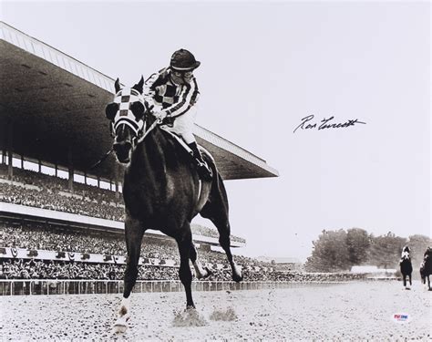 Ron Turcotte Signed 16x20 Photo "Looking Back" on Secretariat at ...