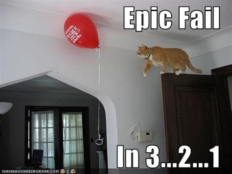 Funny Cat Fails 18 Free Wallpaper - Funnypicture.org