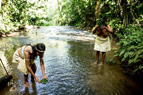 The Water Protectors Of The Amazon - Amazon Frontlines