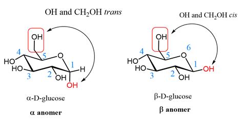 Alpha and Beta glucose based on the OH cis and trans to CH2OH | D glucose, Chemistry notes ...