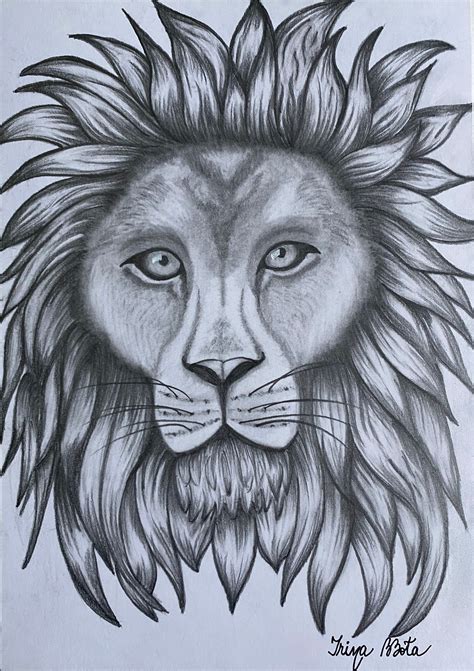 Lion Head In Pencil, Drawing by Irina Bbota | Artmajeur