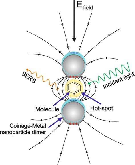 Schematic representation of the surface-enhanced Raman scattering... | Download Scientific Diagram