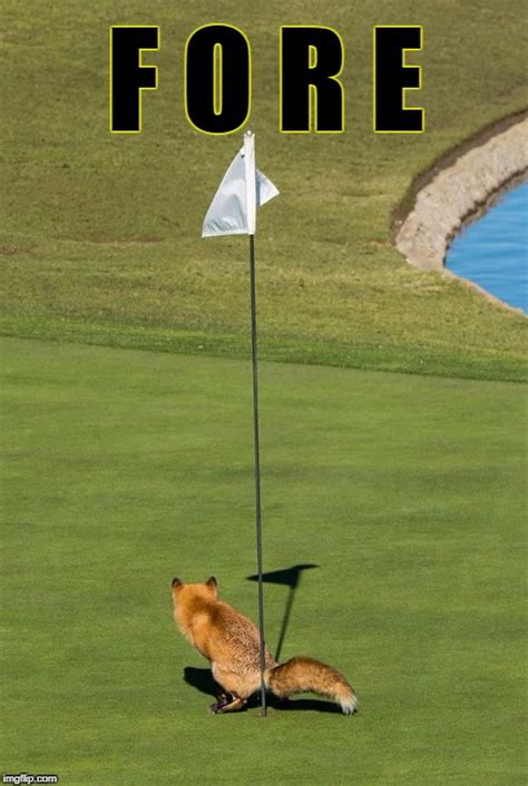 Golf Etiquette - Imgflip