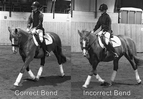 QUICK RIDING TIPS – PART 2 - Dressage Training TV | Horse riding tips, Dressage videos, Riding