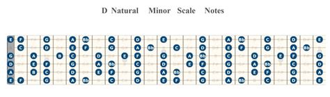 How to Play D Minor Scale on Guitar - Beginner Guitar HQ