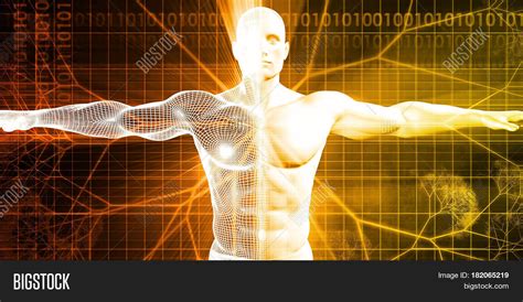 Digital Anatomy Image & Photo (Free Trial) | Bigstock