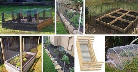 10 Vegetable Garden Fence Ideas to Protect Your Produce