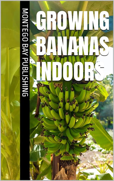 Amazon.com: Growing Bananas Indoors (Growing Fruit in Pots) eBook : Publishing , Montego Bay ...