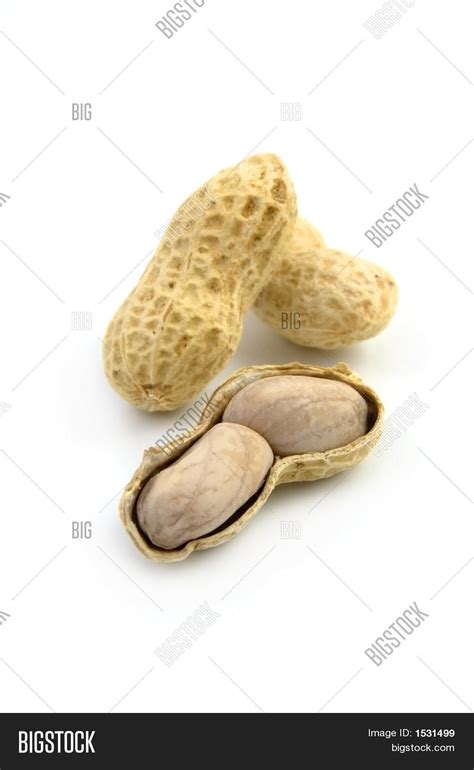 Ground Nuts Image & Photo (Free Trial) | Bigstock