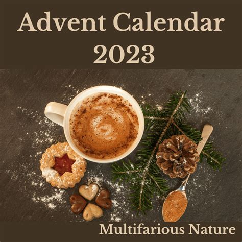 Christmas Advent Calendar 2023 | Multifarious Nature