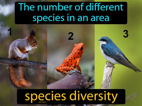 Species Diversity Definition - Easy to Understand