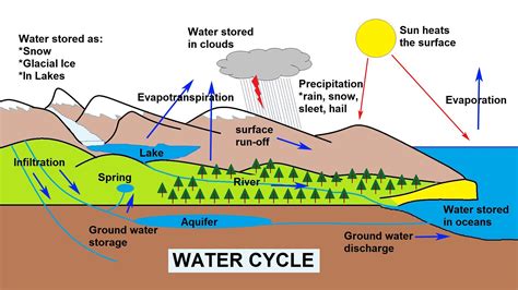 Water Cycle Steps In Order With Diagram Cycle Water Wikipedi