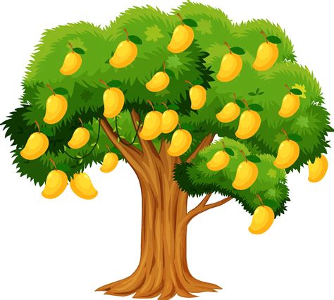 Mango Tree Vector Art, Icons, and Graphics for Free Download