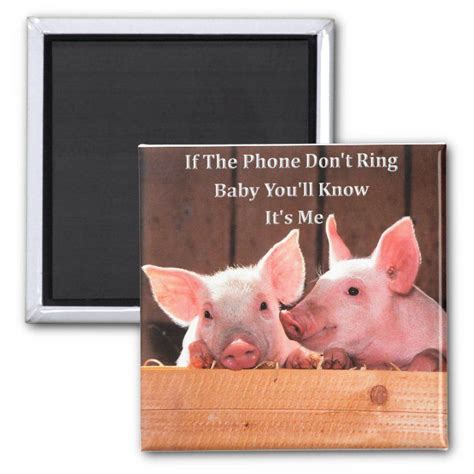 Funny Pig Quotes Sayings - ShortQuotes.cc