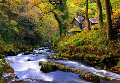 Forest Cottages wallpaper | nature and landscape | Wallpaper Better