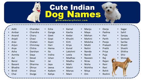 550+ Cute Indian Dog Names (Male and Female) - Vocabulary Point