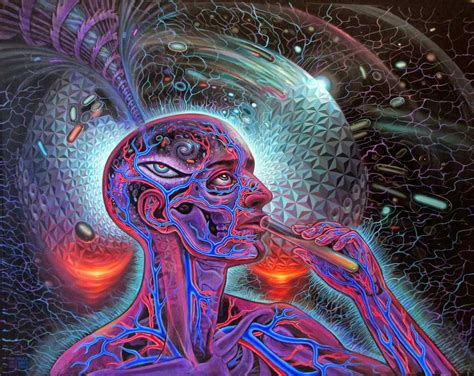 Augureye Express: DMT and the Persistent Illusion