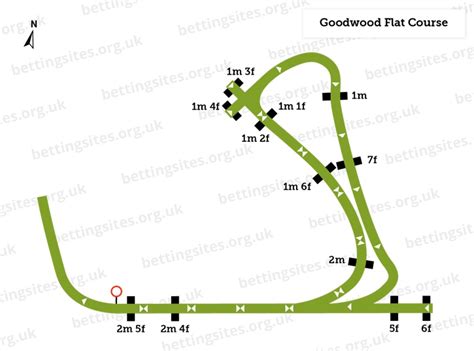 Goodwood Racecourse Guide: Visitor Info, Races & History | BettingSites.org.uk