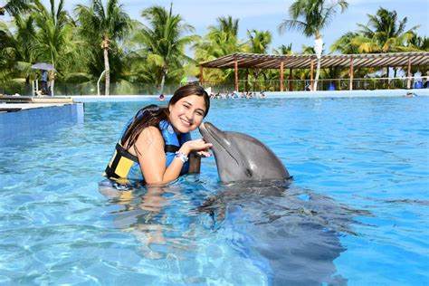 8 Recommendations Before Swimming with Dolphins in Cancun