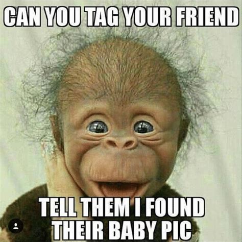 20 Funny Ugly Baby Memes to Laugh – Child Insider