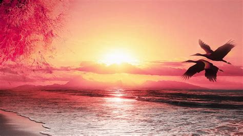 Beautiful Beach Sunset Wallpaper - WallpaperSafari