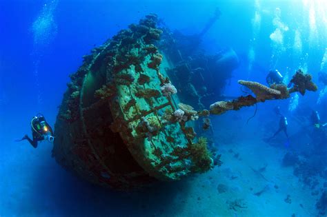 Wreck Diving | Dive Holidays