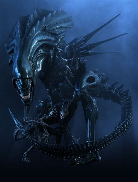 Xenomorph Queen (Queen Alien) - Monster Wiki - a reason to leave the closet closed and saw the ...