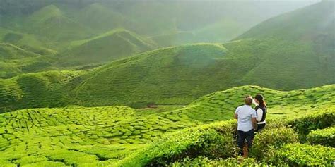 10 Places To Stay In Munnar For Couples - Tourist Panda