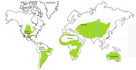 Tropical Grassland/ Savanna - Biome Map