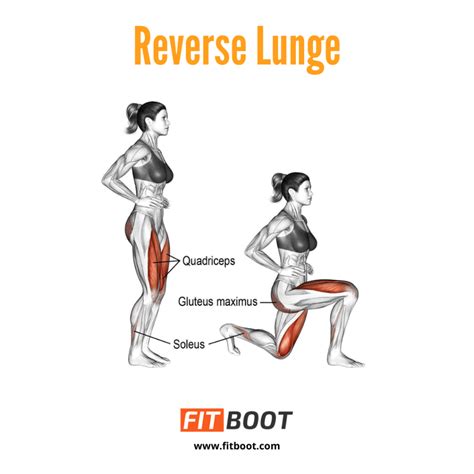 Reverse Lunges Muscles Worked