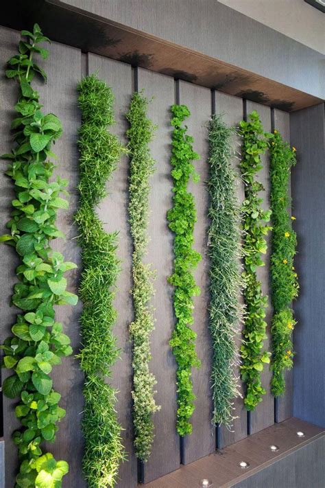 This living wall in a kitchen can be used as an indoor herb garden #LivingWall #HerbGarden # ...