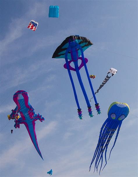 Amazing Giant Octopus Kite and More!