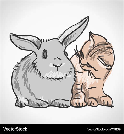 Cat and rabbit Royalty Free Vector Image - VectorStock