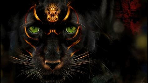 Panther Animal Wallpapers - Top Free Panther Animal Backgrounds ...