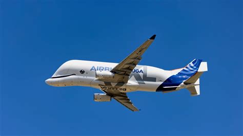 The Battle Of The Beasts: The Boeing Dreamlifter vs Airbus Beluga XL