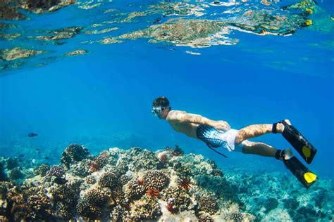 15 Helpful Tips For Best Snorkeling In Hawaii - Hawaii Travel with Kids