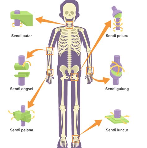 Mengenal Sendi Peluru dan Penjelasan Lengkapnya - Varia Katadata.co.id