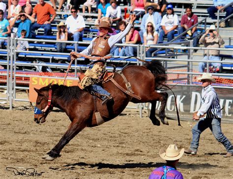 Bronc Riding Photograph by David Salter - Pixels