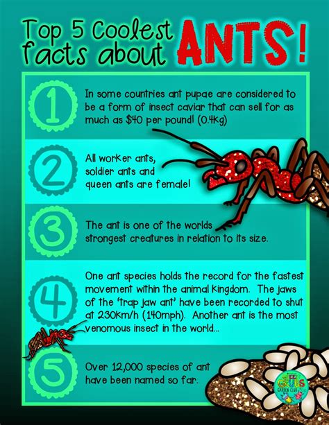 Green Grubs Garden Club: Top 5 coolest facts about... ANTS!