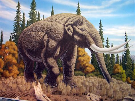 Mastodon Wallpaper Free HD Backgrounds Images Pictures