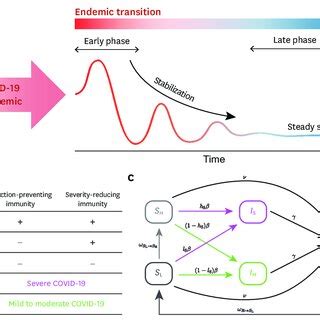 A compartmental model for COVID-19 transmission dynamics incorporating... | Download Scientific ...