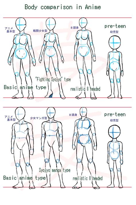 Anime body style comparison by Yumezaka on DeviantArt