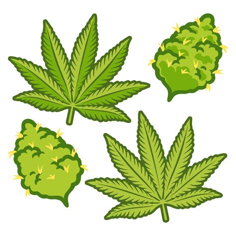 Marijuana Buds Cannabis Vector Design 17733668 Vector Art at Vecteezy