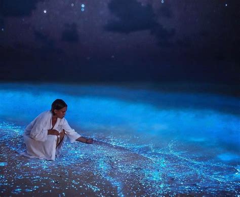 Why you should visit the glowing beaches of the Maldives - IM Maldives